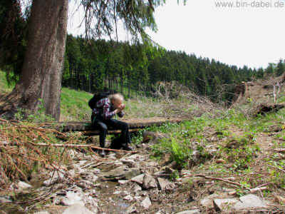 Hist-Bodendenkmale 03-Juni-2011 1427.jpg (98965 Byte)