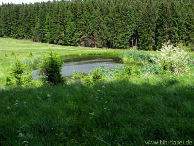 Hist-Bodendenkmale 03-Juni-2011 1438.jpg (99043 Byte)