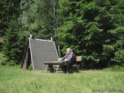 Noch so ein kleines Fuscherding 05-Juni-2011 1756.jpg (99114 Byte)