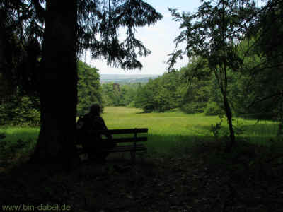 Wurzel1 04-Juni-2011 1568.jpg (272013 Byte)