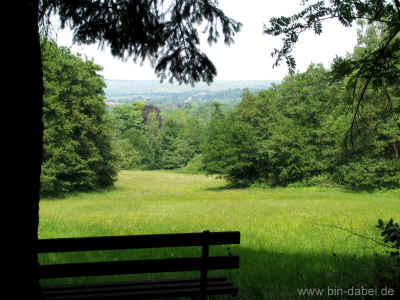 Wurzel1 04-Juni-2011 1574.jpg (97965 Byte)