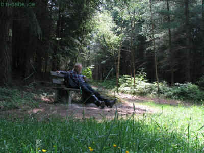 Wurzel3 04-Juni-2011 1532.jpg (98334 Byte)