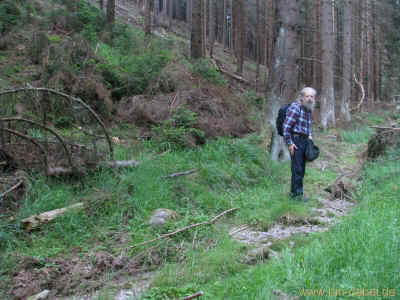 Zum Buchborn 05-Juni-2011 1638.jpg (98530 Byte)