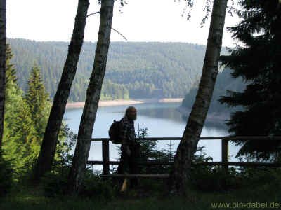 Zum Buchborn 05-Juni-2011 1645.jpg (97312 Byte)