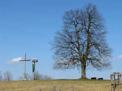 Dolmar 2  28-03-2011 9229.jpg (97447 Byte)