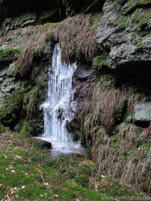 Marderbach 12-03-2011 8684.jpg (101672 Byte)