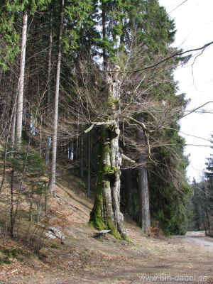 Spittergrund - 6. von sieben Taelern 06-03-2011 8504.jpg (98756 Byte)