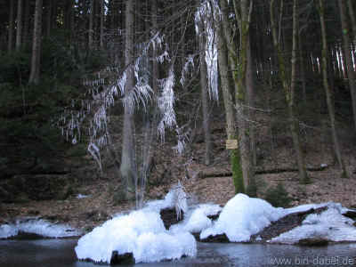 Spittergrund - 6. von sieben Taelern 06-03-2011 8537.jpg (98027 Byte)
