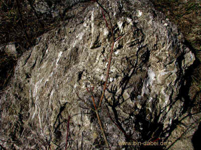Stedtfelds first 27-03-2011 9116.jpg (99898 Byte)