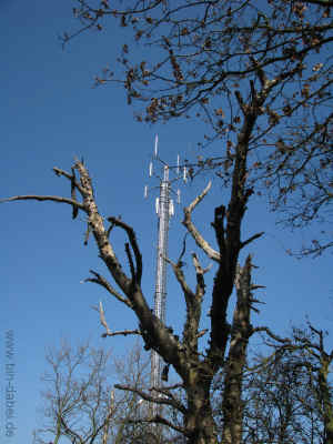 Unterellen im Blick 29-03-2011 9402.jpg (98646 Byte)