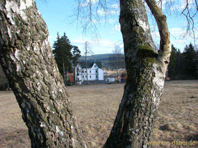Waldwiese 06-03-2011 8542.jpg (98987 Byte)