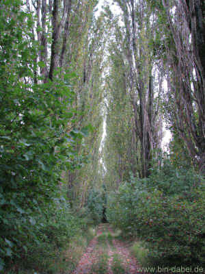 Treffen der Generationen 04-09-2011 2831.jpg (98894 Byte)