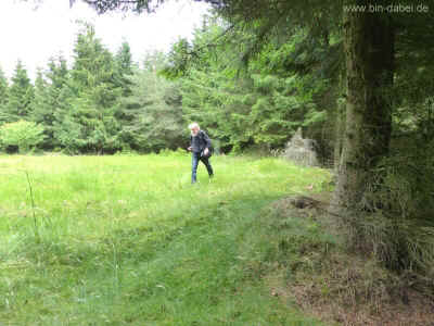An der Wildschweinwiese 24-06-2012 P1020205.jpg (98908 Byte)