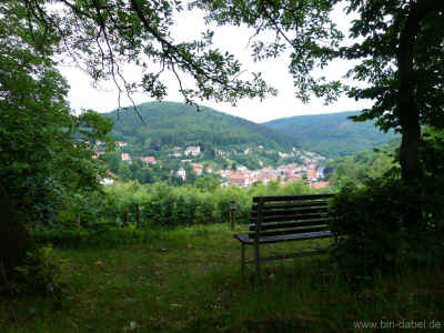 Blick auf Ruhla Ost 17-06-2012 P1020086.jpg (97900 Byte)