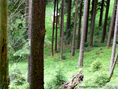 Raeuberstein 10-06-2012 P1010950.jpg (99843 Byte)