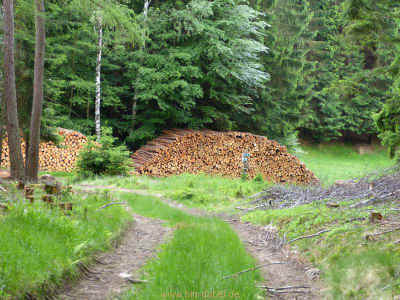 Umsteiger 10-06-2012 P1020041.jpg (99041 Byte)