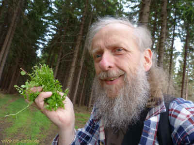 Wildis 10-06-2012 P1020056.jpg (98343 Byte)