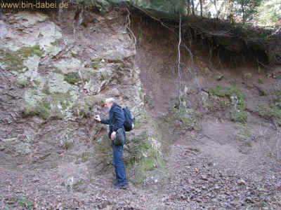 Baerental und Haderholz 17-03-2012 3408.jpg (98504 Byte)