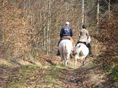 Baerental und Haderholz 17-03-2012 3414.jpg (99600 Byte)