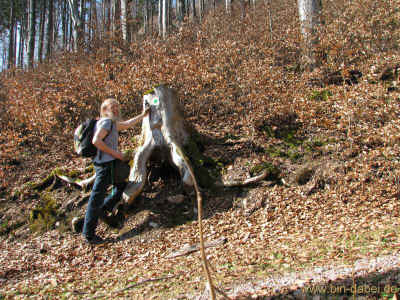 Vorgeschmack 17-03-2012 3474.jpg (115758 Byte)