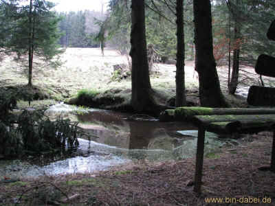 Wolfsgrube 11-03-2012 3396.jpg (98764 Byte)