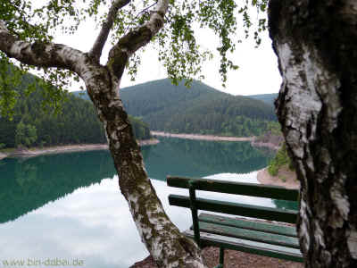 Auf dem Weg zur Bergander Huette 27-05-2012 P1010119.jpg (99678 Byte)