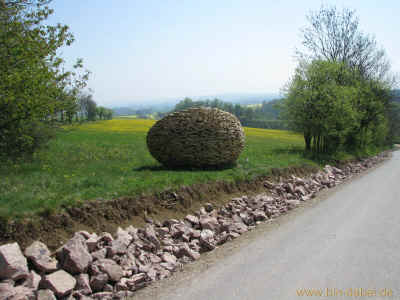 Auf leisen Pfoten 01-05-2012 4528.jpg (97862 Byte)