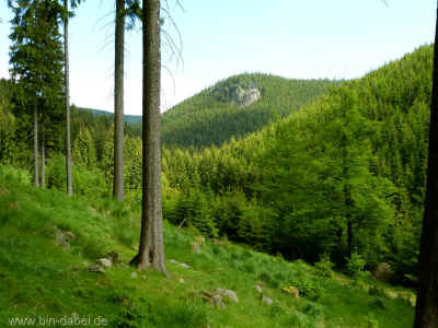 Blick zum Kleinen Boehler 27-05-2012 P1010307.jpg (99375 Byte)