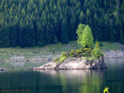 Schmalwassertalsperre 20-05-2012 P1-303.jpg (99243 Byte)