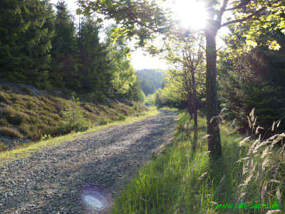 Schmalwassertalsperre 20-05-2012 P1-314.jpg (99847 Byte)