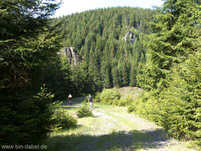 Schmalwassertalsperre 20-05-2012 P1-538.jpg (99189 Byte)