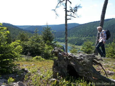 Schmalwassertalsperre 20-05-2012 P1-575.jpg (99197 Byte)