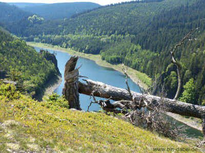 Schmalwassertalsperre 20-05-2012 P1-655.jpg (99095 Byte)