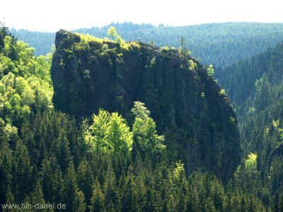 Schmalwassertalsperre 20-05-2012 P1-835.jpg (108852 Byte)