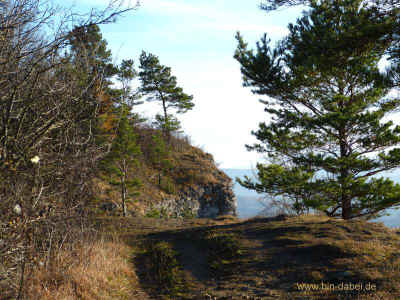 Jesusbruenlein 22-11-2012 P1040695.jpg (98816 Byte)