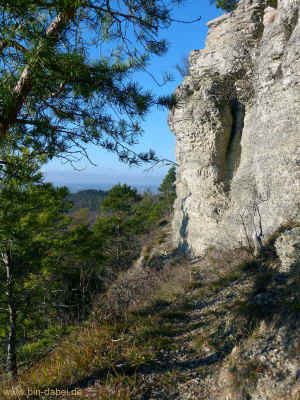 Jesusbruenlein 22-11-2012 P1040708.jpg (98933 Byte)