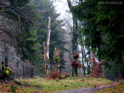 Leiner Born 11-11-2012 P1040360.jpg (98096 Byte)