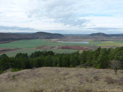 Wachsenburgrunde  25-11-2012 P1040879.jpg (95300 Byte)