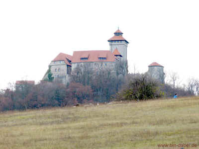 Wachsenburgrunde  25-11-2012 P1040896.jpg (99101 Byte)