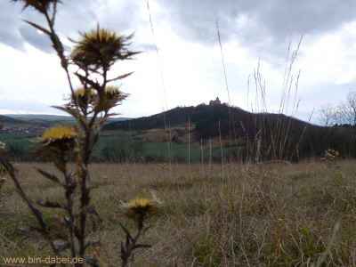 Wachsenburgrunde  25-11-2012 P1040913.jpg (96775 Byte)