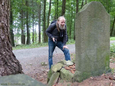 11-08-2013 P1060398.jpg (97942 Byte)