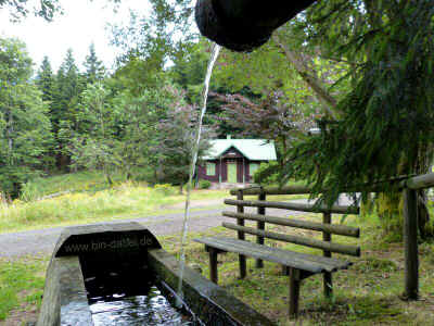 11-08-2013 P1060419.jpg (98635 Byte)