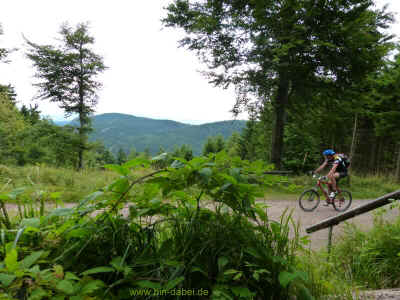 18-08-2013 P1060427.jpg (98331 Byte)