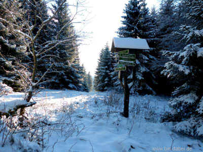 Abstberg 12-01-2013 P1050269.jpg (99140 Byte)