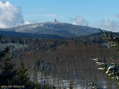Regenstein 12-01-2013 P1050275.jpg (99509 Byte)