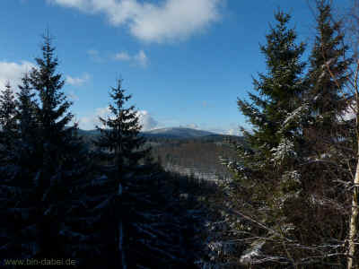 Regenstein 12-01-2013 P1050305.jpg (99074 Byte)