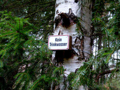 Schoenauerrunde 10-01-2013 P1050147.jpg (99165 Byte)