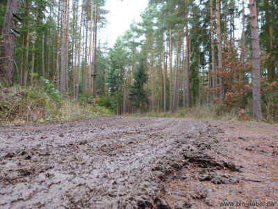 Schoenauerrunde 10-01-2013 P1050151.jpg (99294 Byte)