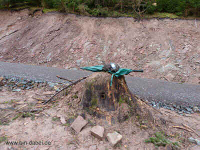 Schoenauerrunde 10-01-2013 P1050152.jpg (99248 Byte)