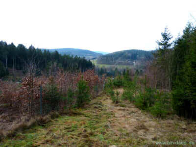 Schoenauerrunde 10-01-2013 P1050168.jpg (98284 Byte)